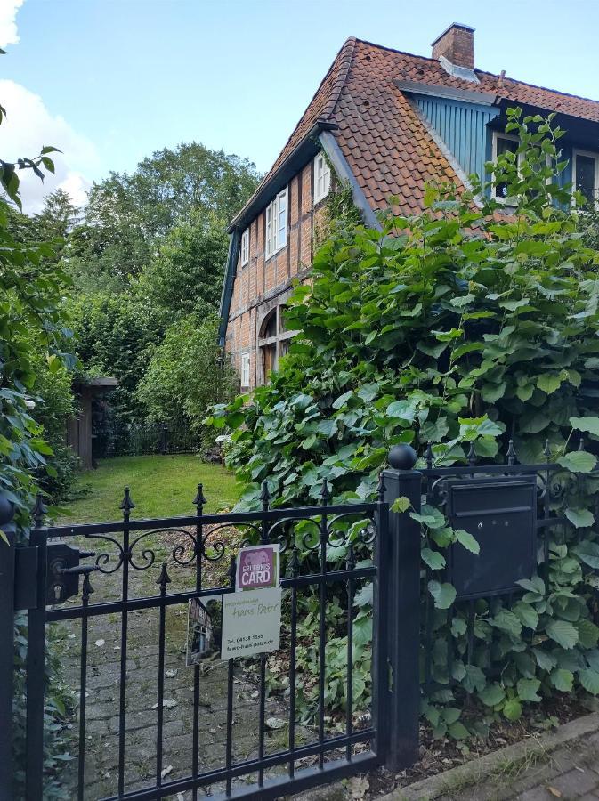 Fewo Haus Patze Betzendorf Exteriör bild