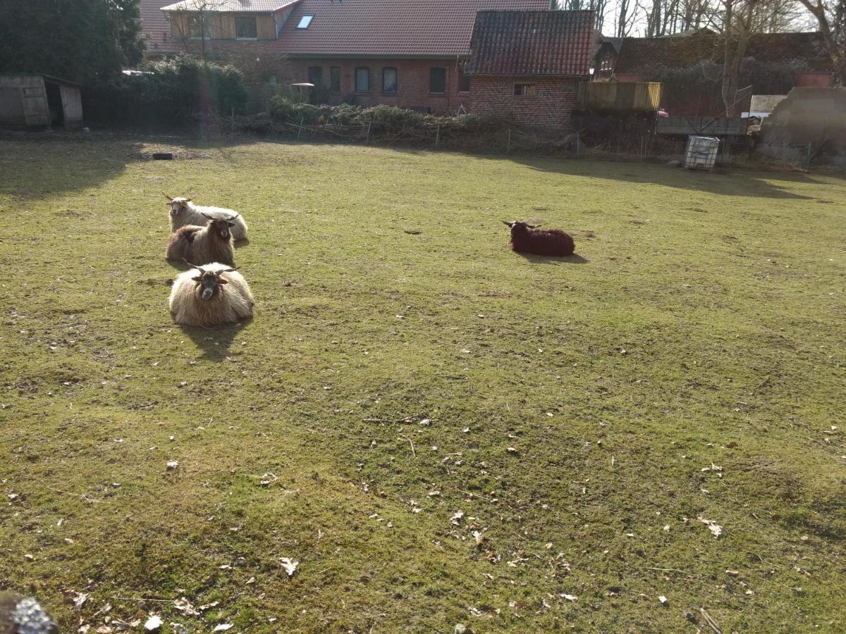 Fewo Haus Patze Betzendorf Exteriör bild