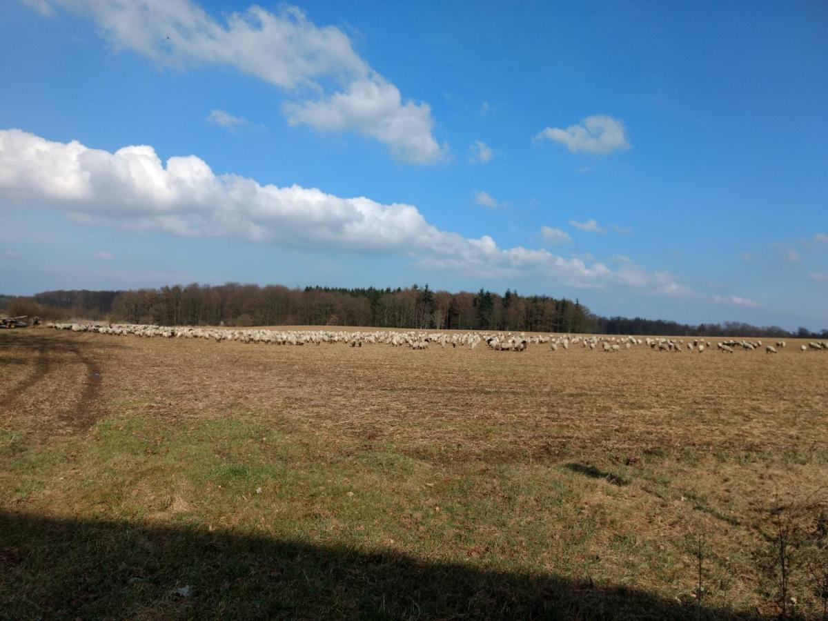 Fewo Haus Patze Betzendorf Exteriör bild