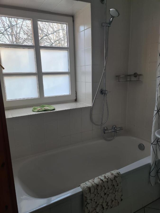Fewo Haus Patze Betzendorf Exteriör bild