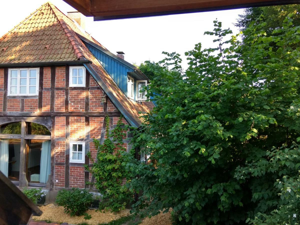 Fewo Haus Patze Betzendorf Exteriör bild